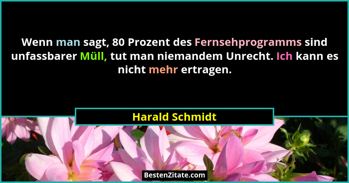 Wenn man sagt, 80 Prozent des Fernsehprogramms sind unfassbarer Müll, tut man niemandem Unrecht. Ich kann es nicht mehr ertragen.... - Harald Schmidt