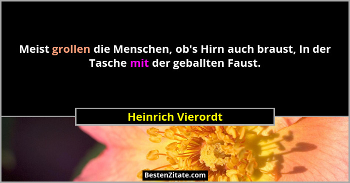 Meist grollen die Menschen, ob's Hirn auch braust, In der Tasche mit der geballten Faust.... - Heinrich Vierordt