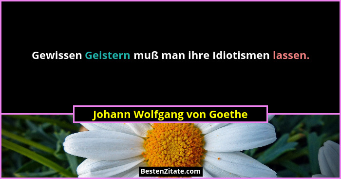 Gewissen Geistern muß man ihre Idiotismen lassen.... - Johann Wolfgang von Goethe