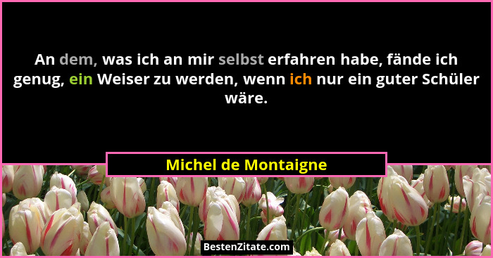An dem, was ich an mir selbst erfahren habe, fände ich genug, ein Weiser zu werden, wenn ich nur ein guter Schüler wäre.... - Michel de Montaigne