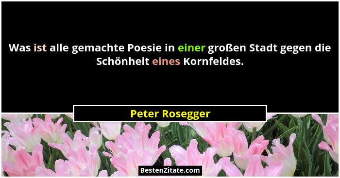 Was ist alle gemachte Poesie in einer großen Stadt gegen die Schönheit eines Kornfeldes.... - Peter Rosegger