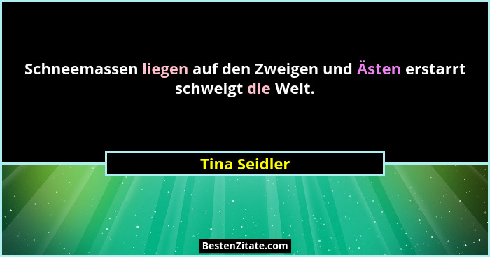 Schneemassen liegen auf den Zweigen und Ästen erstarrt schweigt die Welt.... - Tina Seidler