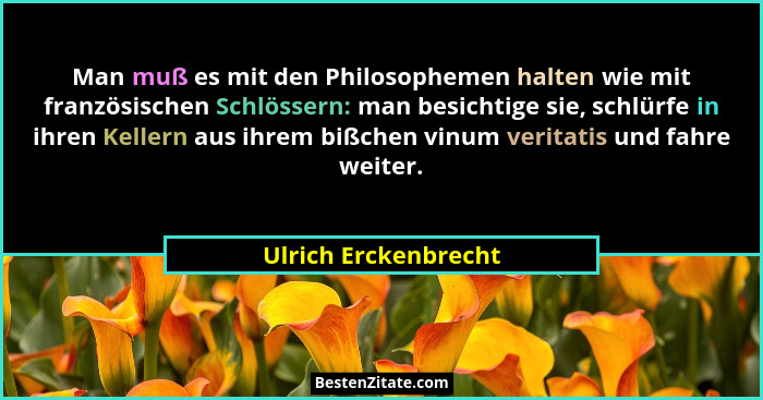 Man muß es mit den Philosophemen halten wie mit französischen Schlössern: man besichtige sie, schlürfe in ihren Kellern aus ihre... - Ulrich Erckenbrecht