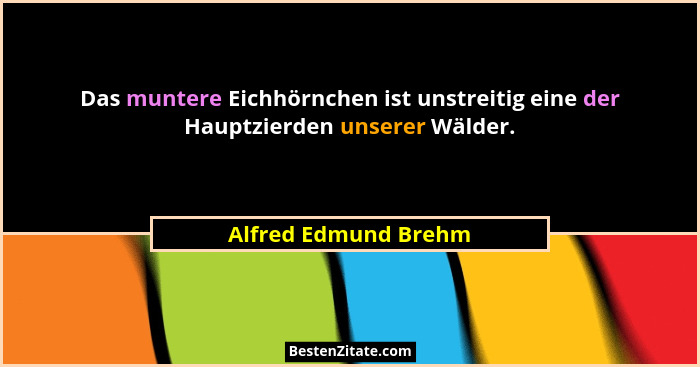Das muntere Eichhörnchen ist unstreitig eine der Hauptzierden unserer Wälder.... - Alfred Edmund Brehm