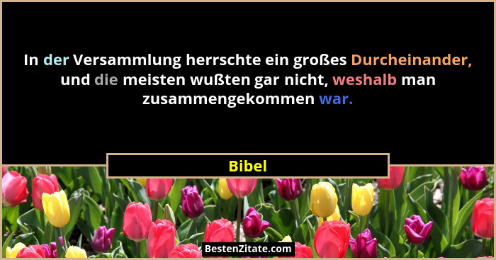 In der Versammlung herrschte ein großes Durcheinander, und die meisten wußten gar nicht, weshalb man zusammengekommen war.... - Bibel