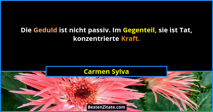Die Geduld ist nicht passiv. Im Gegenteil, sie ist Tat, konzentrierte Kraft.... - Carmen Sylva