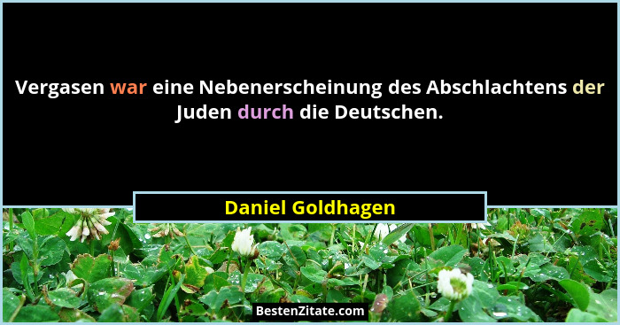 Vergasen war eine Nebenerscheinung des Abschlachtens der Juden durch die Deutschen.... - Daniel Goldhagen