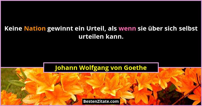 Keine Nation gewinnt ein Urteil, als wenn sie über sich selbst urteilen kann.... - Johann Wolfgang von Goethe