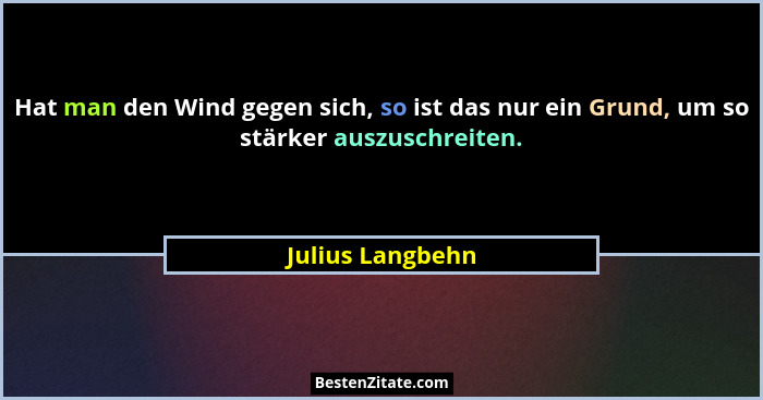 Hat man den Wind gegen sich, so ist das nur ein Grund, um so stärker auszuschreiten.... - Julius Langbehn