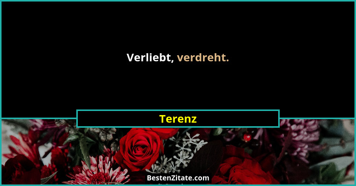Verliebt, verdreht.... - Terenz