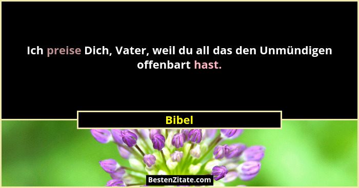 Ich preise Dich, Vater, weil du all das den Unmündigen offenbart hast.... - Bibel