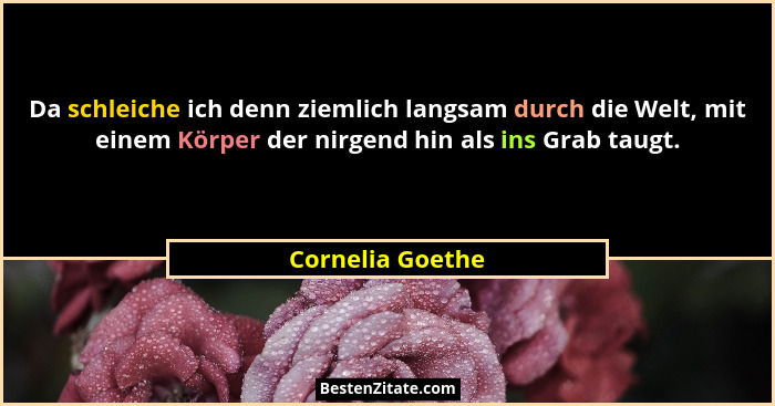 Da schleiche ich denn ziemlich langsam durch die Welt, mit einem Körper der nirgend hin als ins Grab taugt.... - Cornelia Goethe
