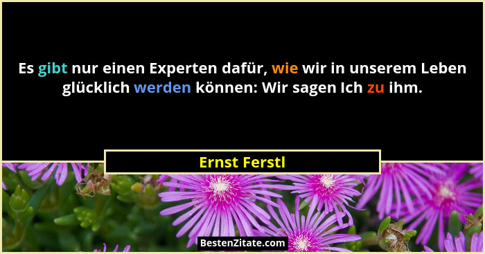 Es gibt nur einen Experten dafür, wie wir in unserem Leben glücklich werden können: Wir sagen Ich zu ihm.... - Ernst Ferstl