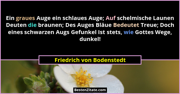 Ein graues Auge ein schlaues Auge; Auf schelmische Launen Deuten die braunen; Des Auges Bläue Bedeutet Treue; Doch eines sc... - Friedrich von Bodenstedt