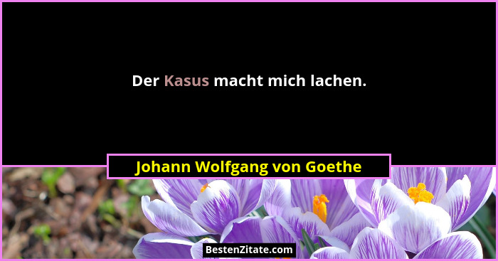 Der Kasus macht mich lachen.... - Johann Wolfgang von Goethe