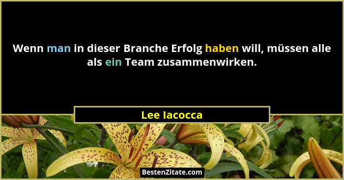 Wenn man in dieser Branche Erfolg haben will, müssen alle als ein Team zusammenwirken.... - Lee Iacocca
