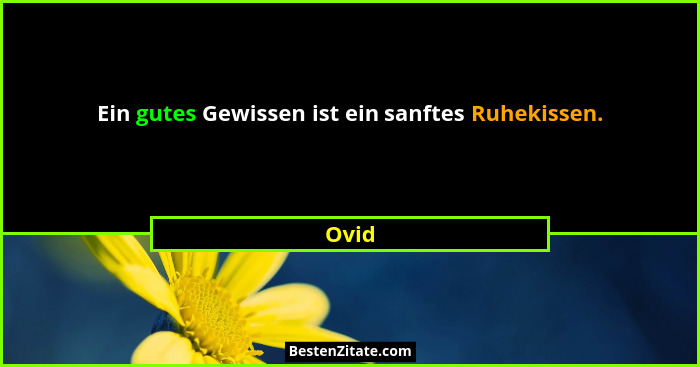 Ein gutes Gewissen ist ein sanftes Ruhekissen.... - Ovid