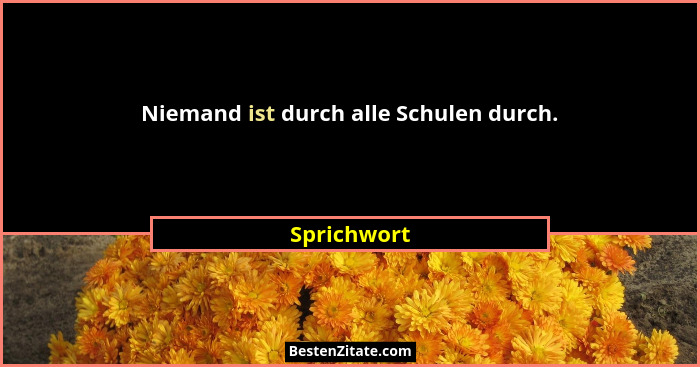 Niemand ist durch alle Schulen durch.... - Sprichwort