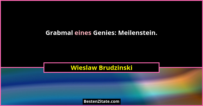 Grabmal eines Genies: Meilenstein.... - Wieslaw Brudzinski