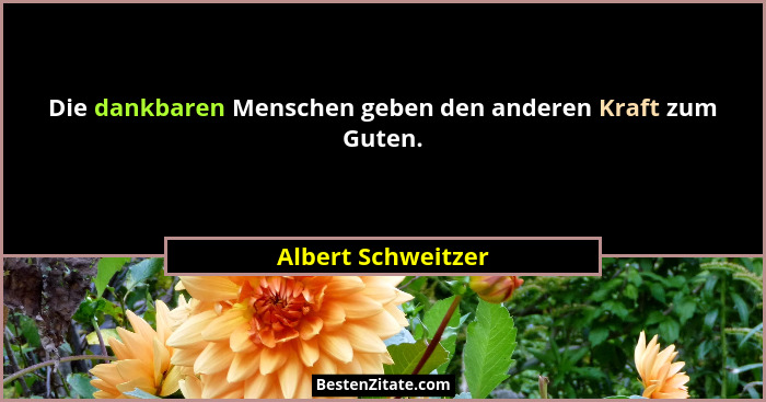 Die dankbaren Menschen geben den anderen Kraft zum Guten.... - Albert Schweitzer