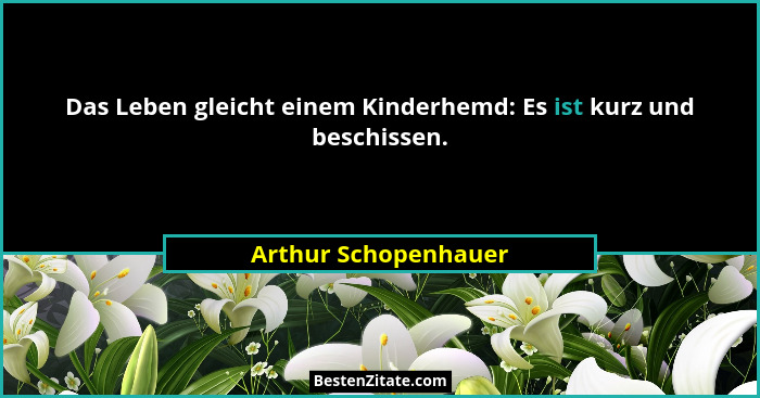 Das Leben gleicht einem Kinderhemd: Es ist kurz und beschissen.... - Arthur Schopenhauer
