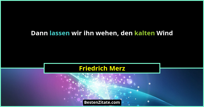 Dann lassen wir ihn wehen, den kalten Wind... - Friedrich Merz