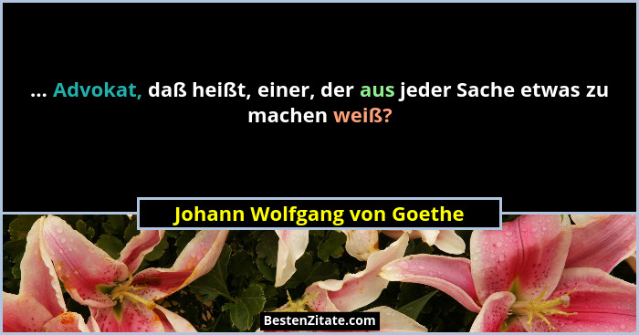 ... Advokat, daß heißt, einer, der aus jeder Sache etwas zu machen weiß?... - Johann Wolfgang von Goethe