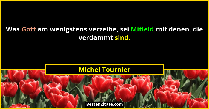 Was Gott am wenigstens verzeihe, sei Mitleid mit denen, die verdammt sind.... - Michel Tournier