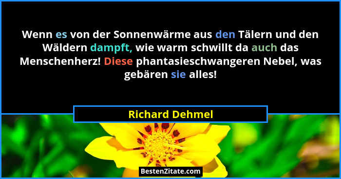 Wenn es von der Sonnenwärme aus den Tälern und den Wäldern dampft, wie warm schwillt da auch das Menschenherz! Diese phantasieschwang... - Richard Dehmel