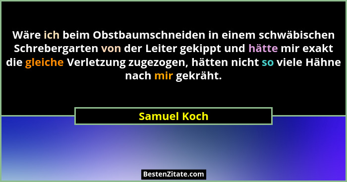 Wäre ich beim Obstbaumschneiden in einem schwäbischen Schrebergarten von der Leiter gekippt und hätte mir exakt die gleiche Verletzung z... - Samuel Koch