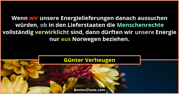Wenn wir unsere Energielieferungen danach aussuchen würden, ob in den Lieferstaaten die Menschenrechte vollständig verwirklicht sin... - Günter Verheugen