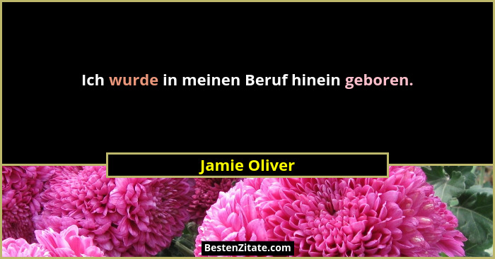 Ich wurde in meinen Beruf hinein geboren.... - Jamie Oliver