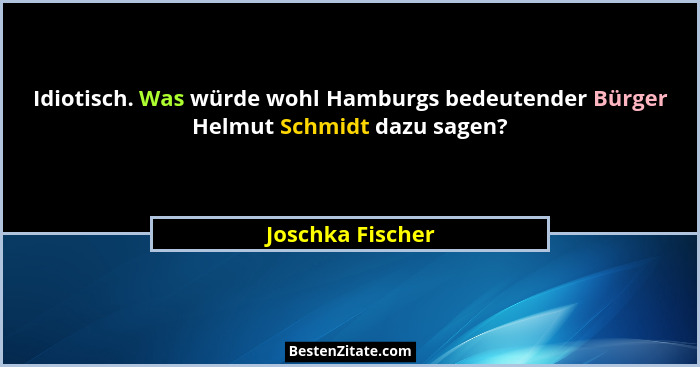 Idiotisch. Was würde wohl Hamburgs bedeutender Bürger Helmut Schmidt dazu sagen?... - Joschka Fischer