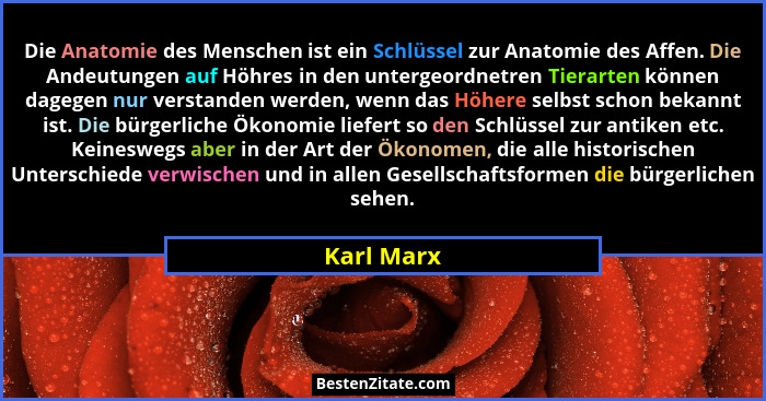 Die Anatomie des Menschen ist ein Schlüssel zur Anatomie des Affen. Die Andeutungen auf Höhres in den untergeordnetren Tierarten können da... - Karl Marx