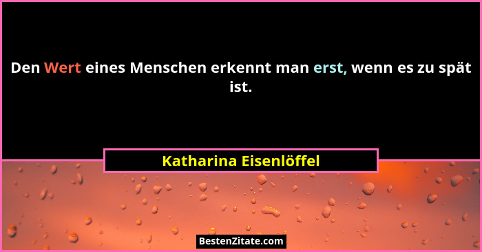 Den Wert eines Menschen erkennt man erst, wenn es zu spät ist.... - Katharina Eisenlöffel