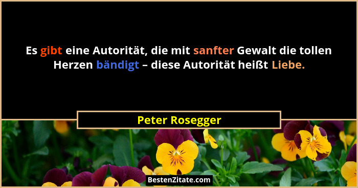 Es gibt eine Autorität, die mit sanfter Gewalt die tollen Herzen bändigt – diese Autorität heißt Liebe.... - Peter Rosegger