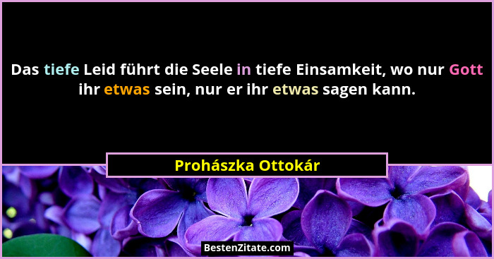 Das tiefe Leid führt die Seele in tiefe Einsamkeit, wo nur Gott ihr etwas sein, nur er ihr etwas sagen kann.... - Prohászka Ottokár