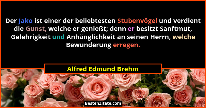Der Jako ist einer der beliebtesten Stubenvögel und verdient die Gunst, welche er genießt; denn er besitzt Sanftmut, Gelehrigkei... - Alfred Edmund Brehm