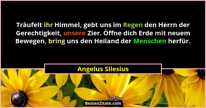 Träufelt ihr Himmel, gebt uns im Regen den Herrn der Gerechtigkeit, unsere Zier. Öffne dich Erde mit neuem Bewegen, bring uns den H... - Angelus Silesius