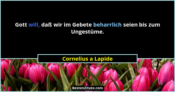 Gott will, daß wir im Gebete beharrlich seien bis zum Ungestüme.... - Cornelius a Lapide