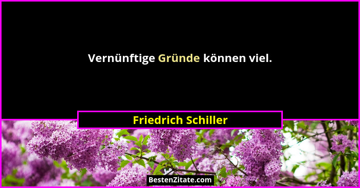 Vernünftige Gründe können viel.... - Friedrich Schiller