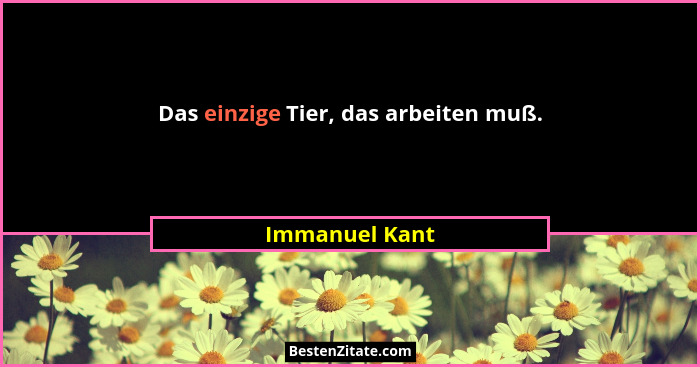 Das einzige Tier, das arbeiten muß.... - Immanuel Kant