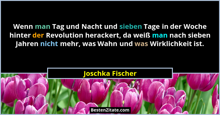 Wenn man Tag und Nacht und sieben Tage in der Woche hinter der Revolution herackert, da weiß man nach sieben Jahren nicht mehr, was... - Joschka Fischer