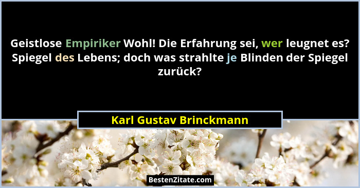 Geistlose Empiriker Wohl! Die Erfahrung sei, wer leugnet es? Spiegel des Lebens; doch was strahlte je Blinden der Spiegel zur... - Karl Gustav Brinckmann
