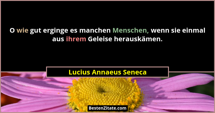 O wie gut erginge es manchen Menschen, wenn sie einmal aus ihrem Geleise herauskämen.... - Lucius Annaeus Seneca