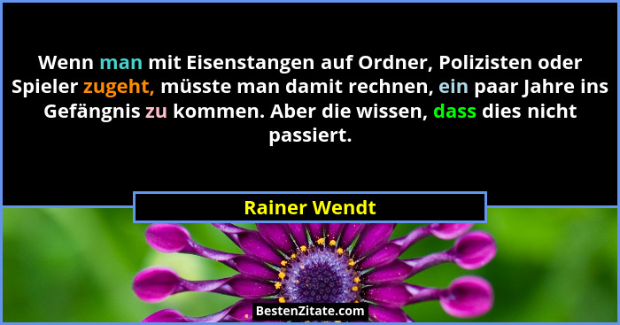 Wenn man mit Eisenstangen auf Ordner, Polizisten oder Spieler zugeht, müsste man damit rechnen, ein paar Jahre ins Gefängnis zu kommen.... - Rainer Wendt