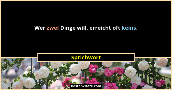 Wer zwei Dinge will, erreicht oft keins.... - Sprichwort
