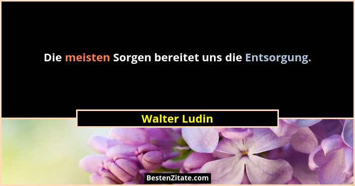 Die meisten Sorgen bereitet uns die Entsorgung.... - Walter Ludin