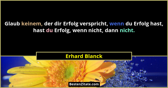Glaub keinem, der dir Erfolg verspricht, wenn du Erfolg hast, hast du Erfolg, wenn nicht, dann nicht.... - Erhard Blanck