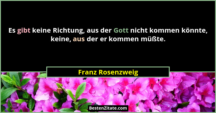 Es gibt keine Richtung, aus der Gott nicht kommen könnte, keine, aus der er kommen müßte.... - Franz Rosenzweig